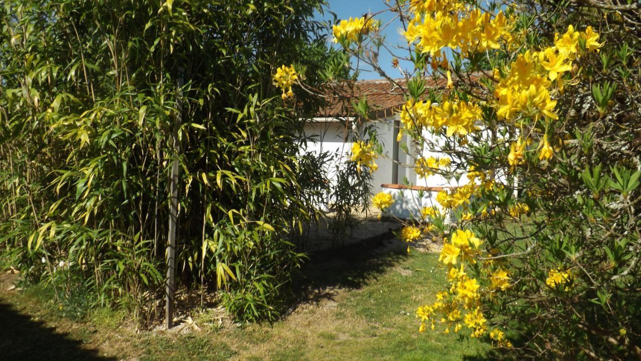 Breesfalt Gite Accomodation Βίλα Maisonnais-Sur-Tardoire Εξωτερικό φωτογραφία